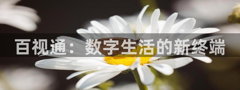 樱桃电影免费观看完整版：百视通：数字生活的新终端